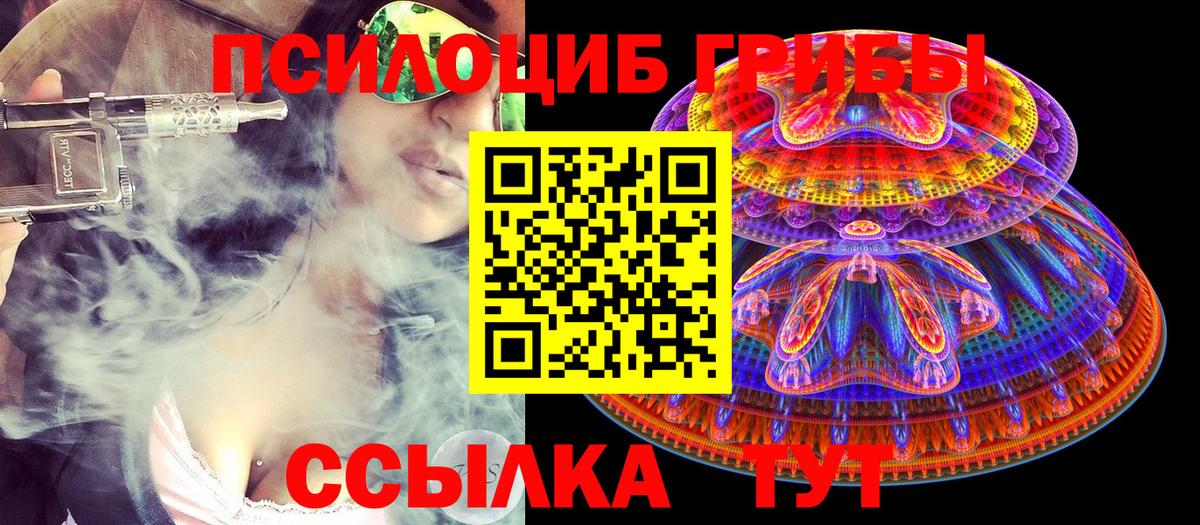 Арсеньев  Галлюциногенные грибы Psilocybine cubensis  Вход с VPN  Галлюциногенные грибы ЛСД 